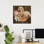Labrador-posters Poster (Thuiskantoor)