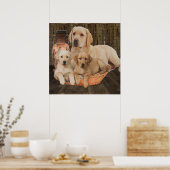 Labrador-posters Poster (Keuken)