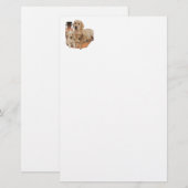 Labrador-producten Briefpapier (Voorkant / Achterkant)