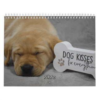 Labrador-Puppies Kalender