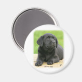 Labrador puppy 9Y267D-109 Magneet (Voorkant / Achterkant)