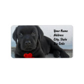 Labrador puppy adresetiketten etiket (Voorkant)