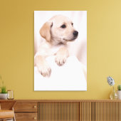 Labrador Puppy Canvas Afdruk (Insitu (Woonkamer))