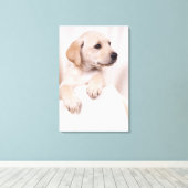 Labrador Puppy Canvas Afdruk (Insitu (Houten vloer))