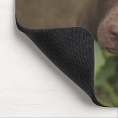 Labrador puppy in gras muismat (Hoek)
