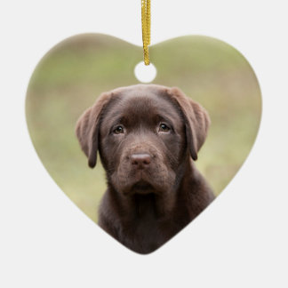 Labrador Puppy Keramisch Ornament
