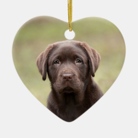 Labrador Puppy Keramisch Ornament (Voorkant)