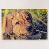 Labrador Puppy Legpuzzel (Horizontaal)