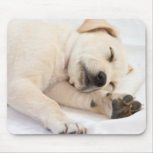 Labrador puppy muismat