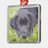 Labrador puppy ornament, zwart lab metalen ornament (Links)