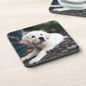 Labrador puppy play in de tuin drankjes onderzetter (Linkerzijde)