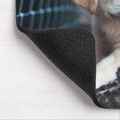 Labrador puppy play in de tuin muismat (Hoek)