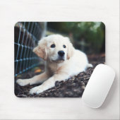 Labrador puppy play in de tuin muismat (Met muis)