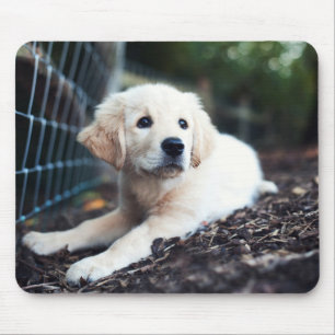 Labrador puppy play in de tuin muismat