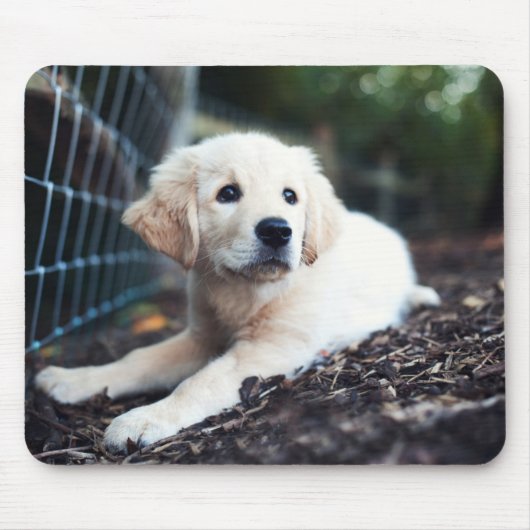 Labrador puppy play in de tuin muismat (Voorkant)