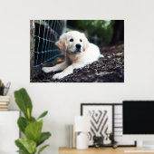 Labrador puppy play in de tuin poster (Thuiskantoor)