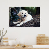 Labrador puppy play in de tuin poster (Keuken)