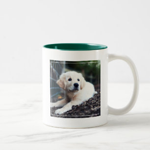 Labrador puppy play in de tuin tweekleurige koffiemok