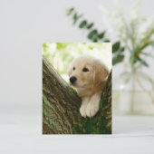 Labrador Puppy Sitting in een bosgebied Briefkaart (Staand voorkant)