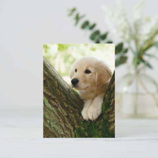 Labrador Puppy Sitting in een bosgebied Briefkaart (Staand voorkant)