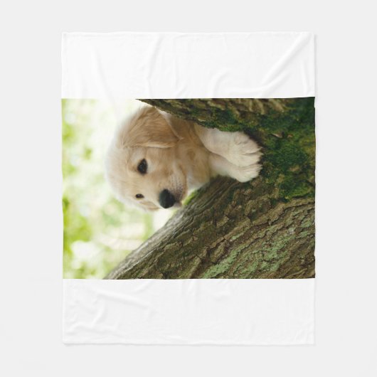 Labrador Puppy Sitting in een bosgebied Fleece Deken (Voorkant)