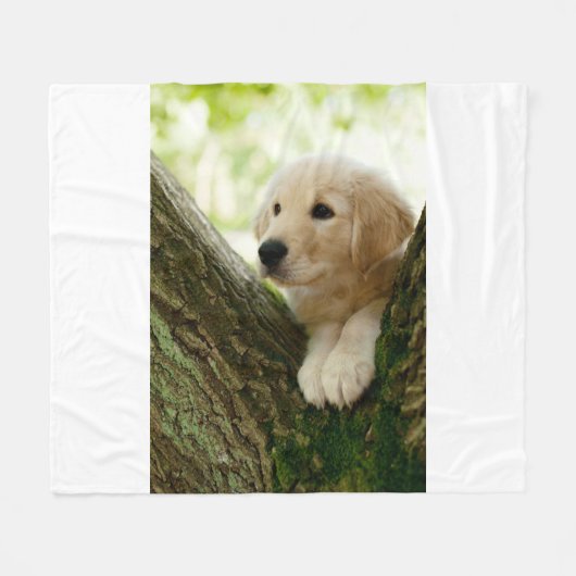 Labrador Puppy Sitting in een bosgebied Fleece Deken (Voorkant (Horizontaal))