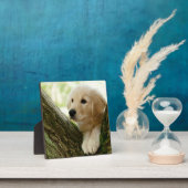 Labrador Puppy Sitting in een bosgebied Fotoplaat (Insitu)