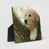 Labrador Puppy Sitting in een bosgebied Fotoplaat (Voorkant)