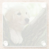 Labrador Puppy Sitting in een bosgebied Glazen Onderzetter (Achterkant)