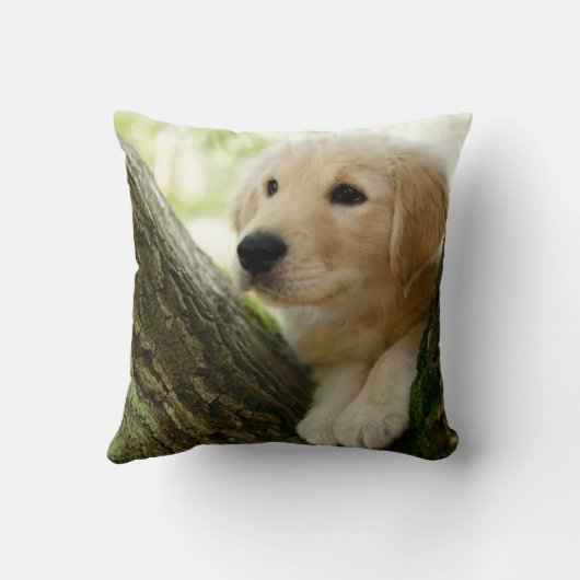 Labrador Puppy Sitting in een bosgebied Kussen (Achterkant)