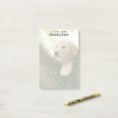 Labrador Puppy Sitting in een bosgebied Post-it® Notes (Op bureau)