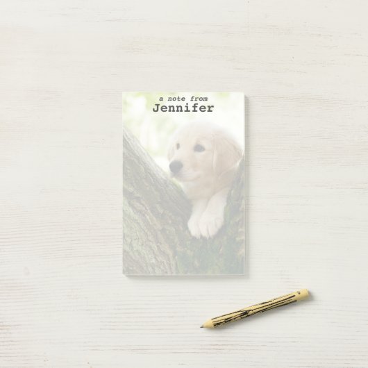 Labrador Puppy Sitting in een bosgebied Post-it® Notes (Op bureau)