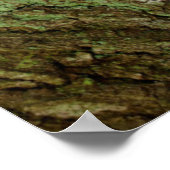 Labrador Puppy Sitting in een bosgebied Poster (Hoek)