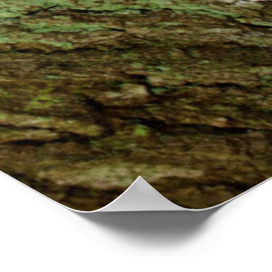 Labrador Puppy Sitting in een bosgebied Poster (Hoek)