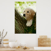 Labrador Puppy Sitting in een bosgebied Poster (Keuken)