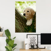 Labrador Puppy Sitting in een bosgebied Poster (Thuiskantoor)