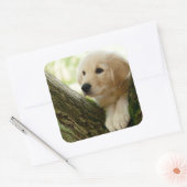 Labrador Puppy Sitting in een bosgebied Vierkante Sticker (Envelop)