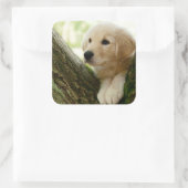Labrador Puppy Sitting in een bosgebied Vierkante Sticker (Tas)