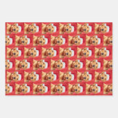 Labrador Puppy Variant Inpakpapier Vel (Voorkant)