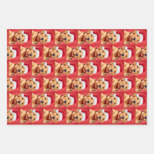 Labrador Puppy Variant Inpakpapier Vel (Voorkant)