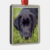 Labrador Puppy - Zwart Lab - Zilver Lijst Metalen Ornament (Rechts)
