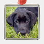Labrador Puppy - Zwart Lab - Zilver Lijst Metalen Ornament (Voorkant)