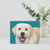 Labrador recovery 1 briefkaart (Staand voorkant)