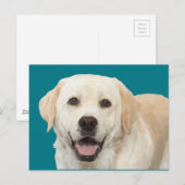 Labrador recovery 1 briefkaart (Voorkant / Achterkant)