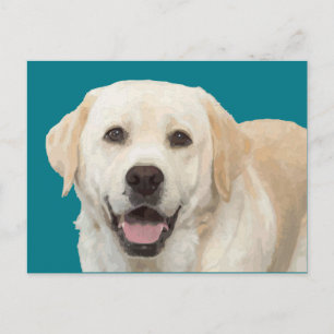 Labrador recovery 1 briefkaart