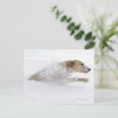 Labrador recovery die door diepe sneeuw loopt briefkaart (Staand voorkant)