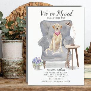 Labrador Recovery Dog   Verplaatsingsaankondiging Aankondiging