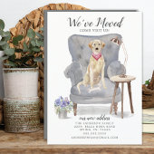 Labrador Recovery Dog | Verplaatsingsaankondiging Aankondiging