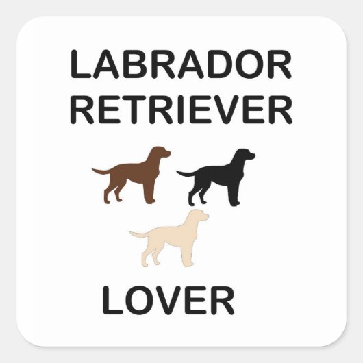 labrador recovery lover van alle kleuren silhouett vierkante sticker (Voorkant)