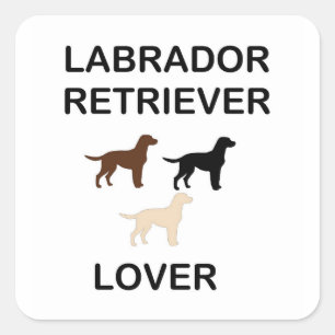 labrador recovery lover van alle kleuren silhouett vierkante sticker